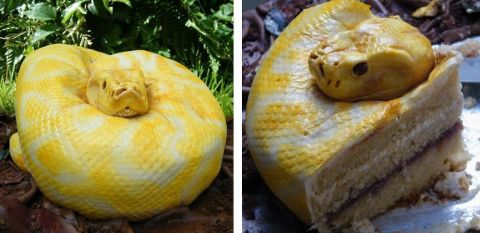 2007 Ford Mustang - This cake is shaped and decorated to resemble a coiled snake.