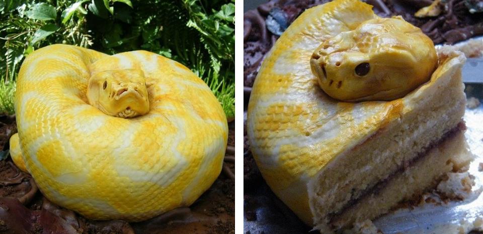 Cake decorated as a coiled yellow and white snake, with a slice cut out showing layers