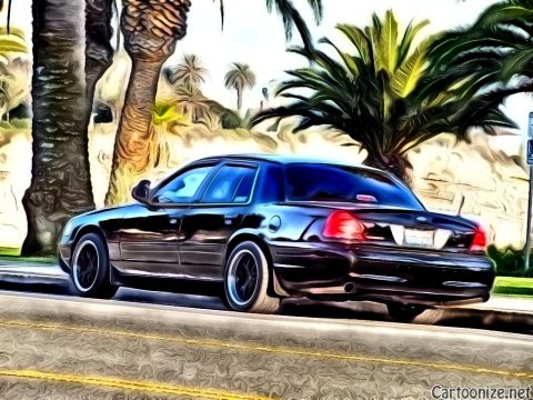 2003 Ford Crown Victoria - Rear quarter of a lowered black sedan along a tropical roadway lined with palms, dark aftermarket wheels.