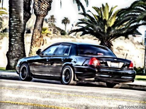 2003 Ford Crown Victoria - Lowered black sedan seen from rear along a palm-lined street, glossy paint and blacked-out wheels.