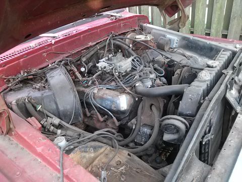 1979 Ford F-150 photo