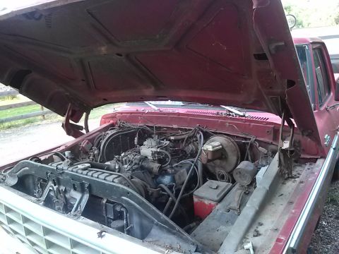 1979 Ford F-150 photo