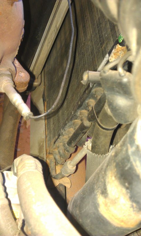 1991 Ford Festiva - This image shows a close-up view of a vehicle's radiator and associated hoses, with some signs of rust.