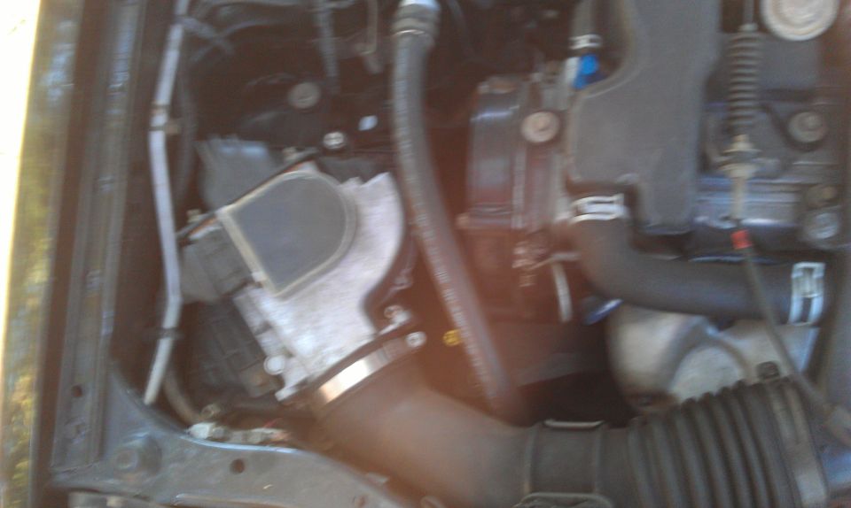 Engine bay with hoses and air intake components visible