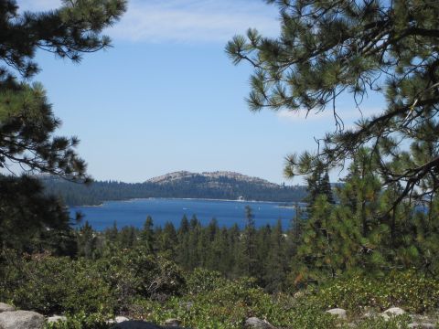 1989 Ford Bronco - A scenic view of a lake and forest, framed by pine branches.