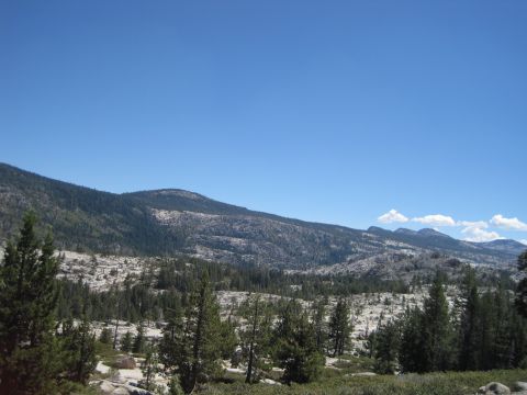 1989 Ford Bronco - A wide view of a mountainous terrain with scattered trees and rocks under a bright blue sky.