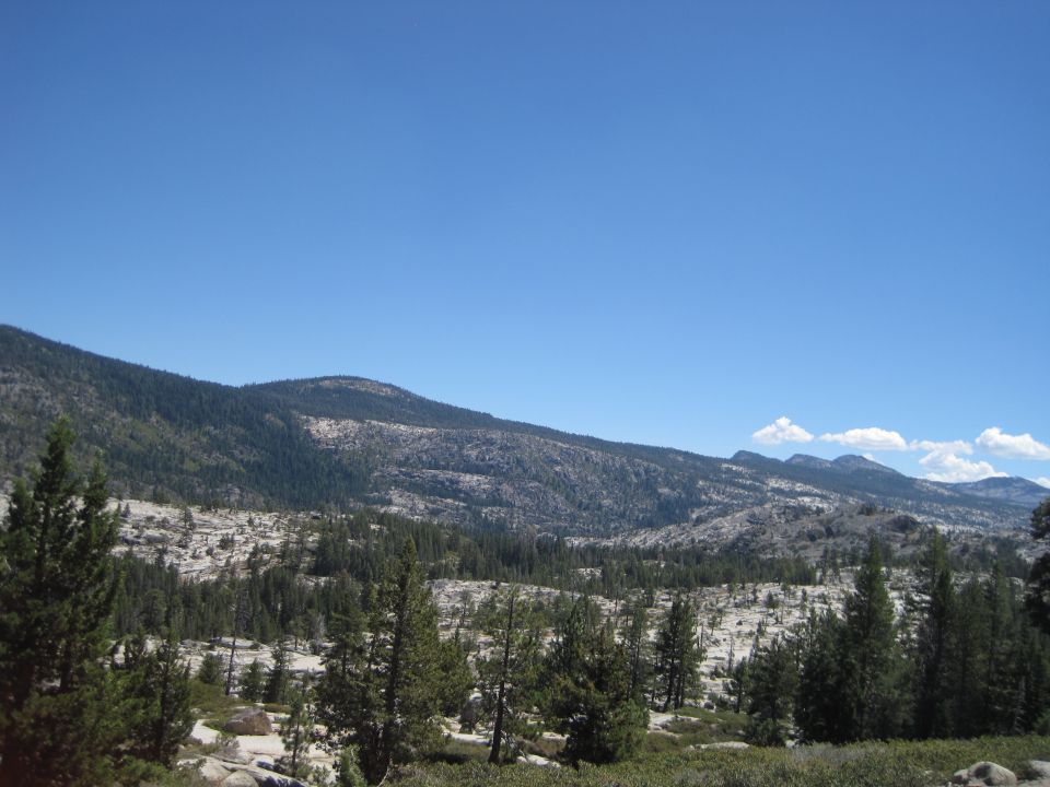 Mountain range with trees and rocks under a clear blue sky