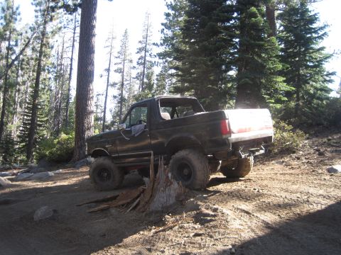1989 Ford Bronco - 1989 Ford Bronco parked on a dirt path surrounded by trees.