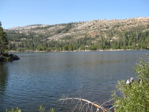 1986 Ford Bronco - A lake is surrounded by dense pine forests and mountains under a bright, cloudless sky.
