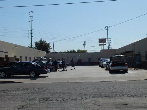2003 Ford Crown Victoria - Enthusiast gathering of Panther-platform sedans parked outside a commercial building under power lines.