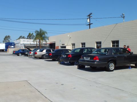 2003 Ford Crown Victoria - Line of dark full-size Ford sedans parked diagonally beside a commercial building.