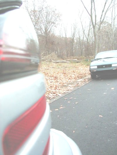 1997 Ford Taurus - A dark sedan is parked on a wet asphalt surface near a wooded area with fallen leaves.