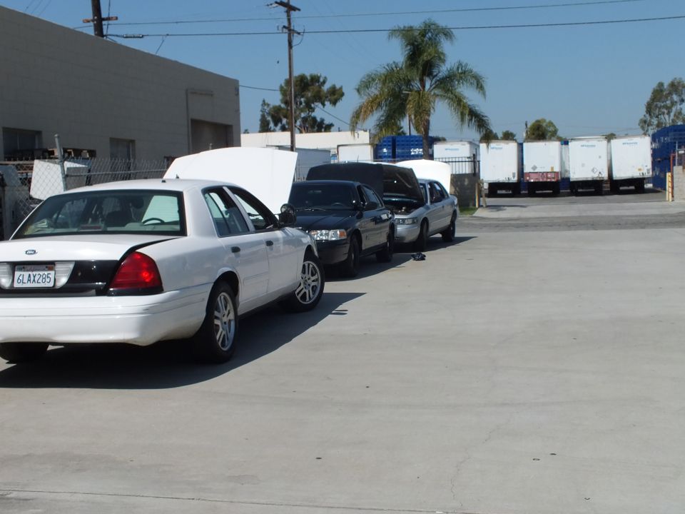 White Ford Crown Victoria with plate 6LAX285 leading a line of sedans by shipping trailers