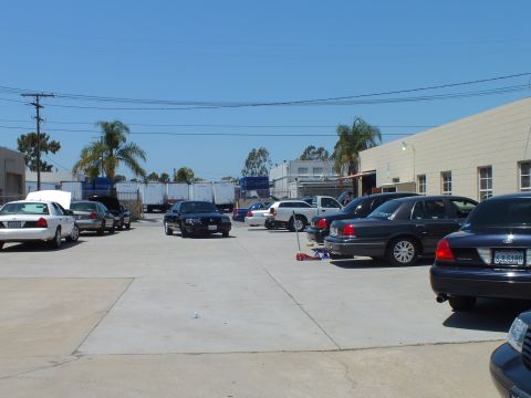 2003 Ford Crown Victoria - Several Crown Victoria sedans parked across a paved lot with palm trees and shipping containers behind