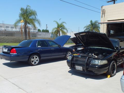 2003 Ford Crown Victoria - Blue Crown Victoria beside a black Ford sedan fitted with a push bar, hood open, palm trees behind