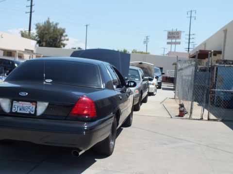 2003 Ford Crown Victoria - Rear three-quarter of a black Crown Victoria, plate 5YWN854, lined up with other sedans near ASCO Metals