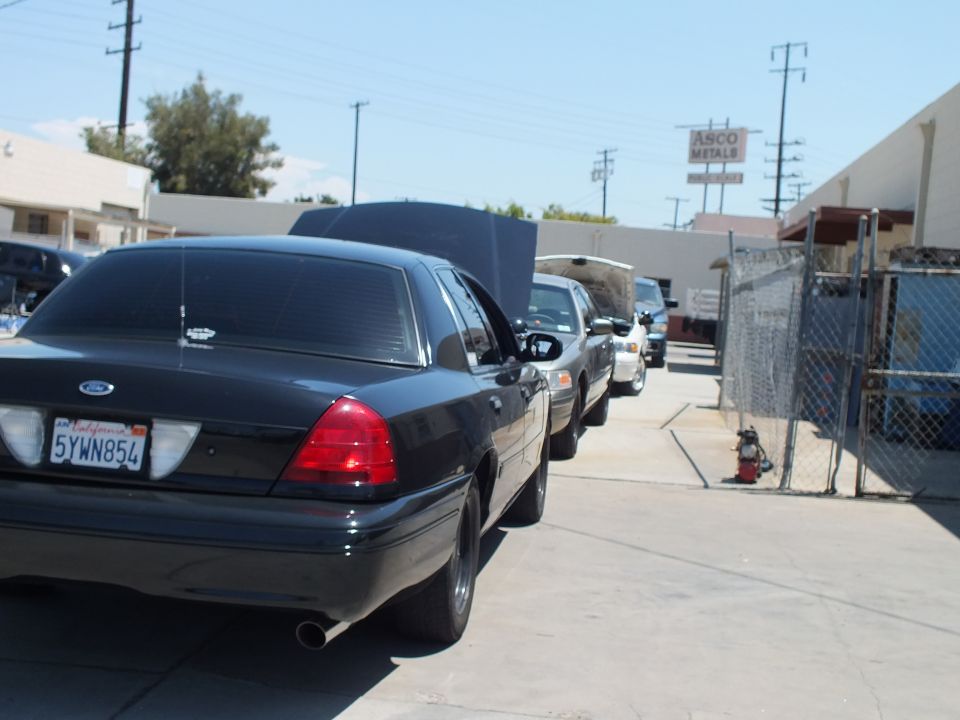 Black Ford Crown Victoria plate 5YWN854 parked in line of sedans by chain-link fence