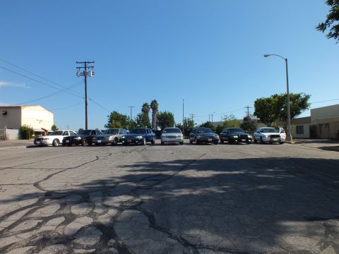 2003 Ford Crown Victoria - lineup of eight Panther-platform sedans parked side by side across a wide cracked asphalt lot.