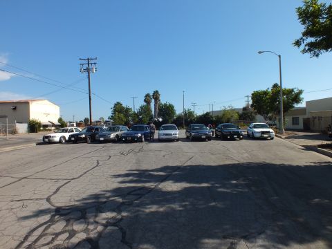 2003 Ford Crown Victoria - People stand among a row of Ford and Mercury sedans parked across a large open asphalt lot.