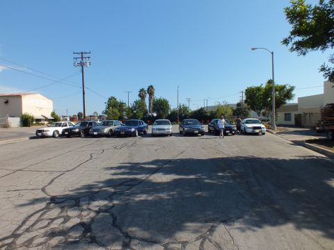 2003 Ford Crown Victoria - Seven Panther-platform sedans in white, blue and black parked in a row on a cracked lot.