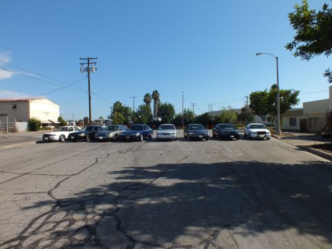 2003 Ford Crown Victoria - row of Crown Victoria and Grand Marquis sedans lined up on a wide asphalt lot beneath clear sky.
