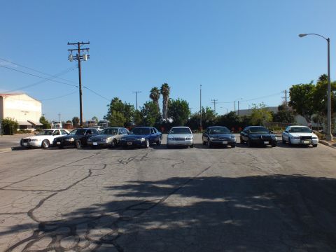 2003 Ford Crown Victoria - Eight Panther-platform sedans parked front-facing in a row across an open asphalt lot.