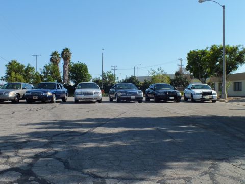 2003 Ford Crown Victoria - Six Panther-platform sedans line up front-on across a cracked asphalt lot beside a warehouse.
