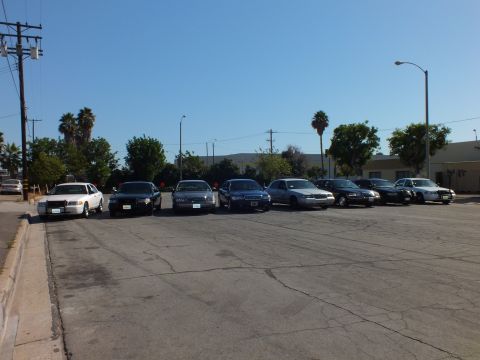 2003 Ford Crown Victoria - Eight full-size sedans face the camera across a broad lot edged by palms and a warehouse.