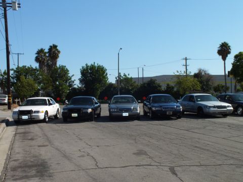 2003 Ford Crown Victoria - white, black, and silver sedan group sits front-on near trees and a distant ridge.