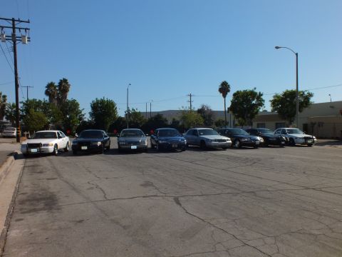 2003 Ford Crown Victoria - spread of sedans sits front-on across cracked asphalt beside palms and an industrial building.
