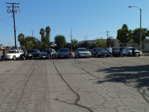 2003 Ford Crown Victoria - group lines up beside their parked sedans across cracked pavement near a warehouse.