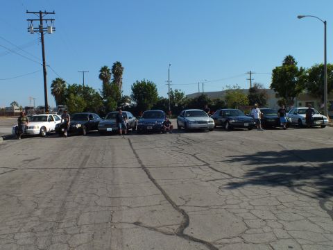 2003 Ford Crown Victoria - Enthusiasts gather around their full-size sedans lined up across a broad paved lot.