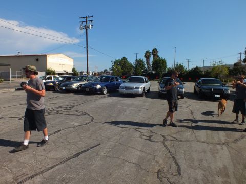 2003 Ford Crown Victoria - People move across a lot of parked full-size sedans, a brown dog standing near the right.