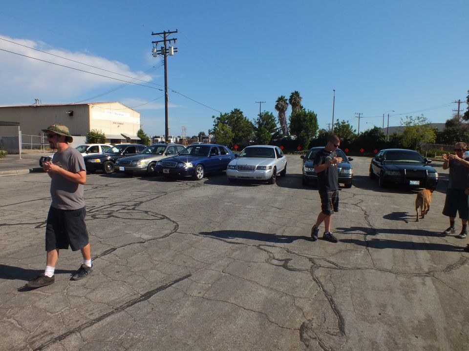 Men walk through a parking lot of sedans, one with a dog at right