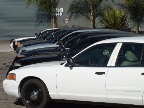 2003 Ford Crown Victoria - Profile of parked full-size sedans, white Crown Victoria nearest with steel wheel, dark cars and palm trees behind