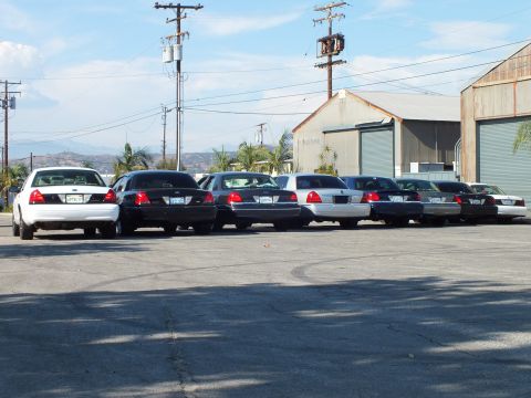 2003 Ford Crown Victoria - Mix of white and black Panther sedans parked diagonally, brake lights and plates facing camera