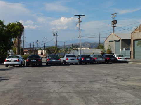 2003 Ford Crown Victoria - Full-size sedans parked rear-to-camera, power lines and palm trees against blue sky