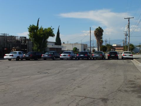 2003 Ford Crown Victoria - Row of full-size sedans seen from rear, dry trees and power poles under hazy sky