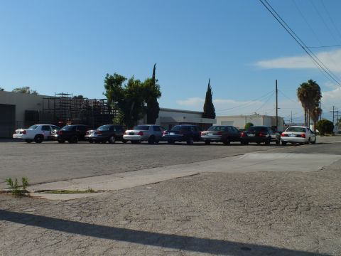 2003 Ford Crown Victoria - Wide shot of full-size sedans lined up across asphalt with cypress trees and palms behind