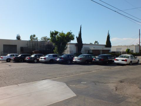2003 Ford Crown Victoria - Eight full-size sedans parked nose-in, white car at right, cypress and shade trees behind