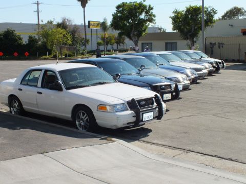 2003 Ford Crown Victoria - White Crown Victoria with push bar and California plate heading a row of dark sedans near Maxon sign