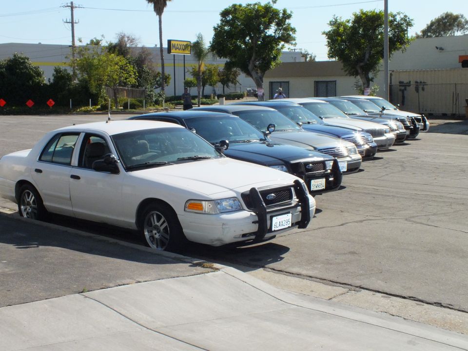 White Crown Victoria police-style sedan leads diagonal row of Panther cars