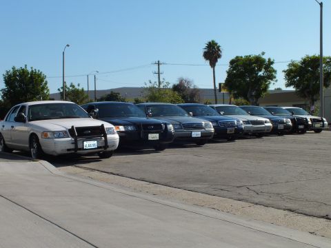 2003 Ford Crown Victoria - Lineup of front-facing Panther sedans showing grilles and California plates, palm and trees behind
