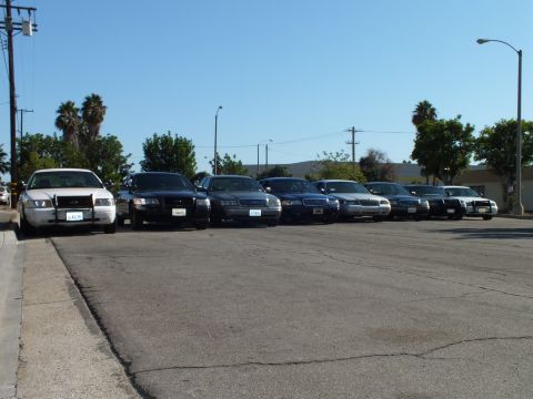 2003 Ford Crown Victoria - White Crown Victoria leads angled row of dark sedans, palm trees and power poles behind