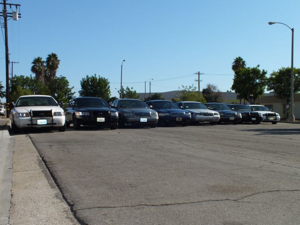 Row of full-size sedans parked across asphalt lot under clear blue sky