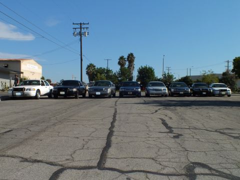 2003 Ford Crown Victoria - Panther-platform sedans facing camera, white Crown Victoria at left, person standing nearby