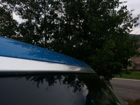 1994 Ford Bronco - The distinctive two-tone roofline of a 1994 Ford Bronco is visible against a backdrop of trees and a cloudy sky.