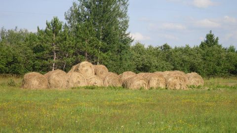 1987 Ford F-250 - A field filled with round hay bales under a partly cloudy sky.
