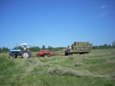 1987 Ford F-250 - A tractor is shown working in a field, baling hay and transporting it on a trailer.
