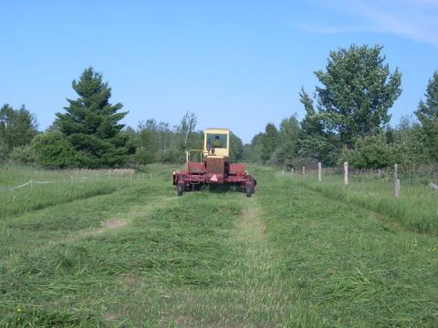 1987 Ford F-250 - A tractor and trailer sit in a field under a clear blue sky.